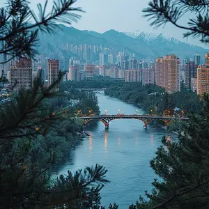 离婚走法律该注意什么