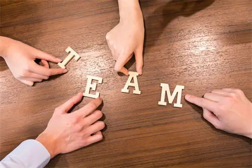 法律的定义下什么是人