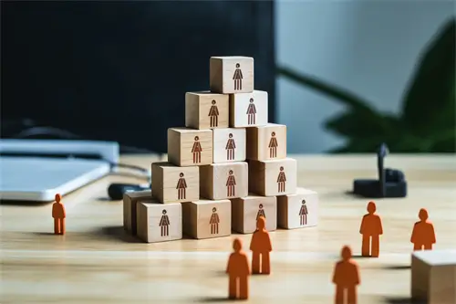 法律文秘学什么科目好